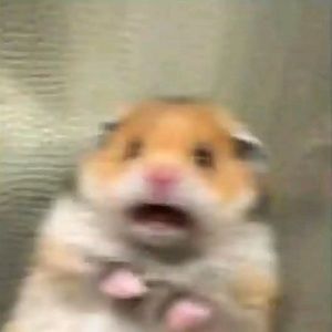 Meet your Posher, Sade